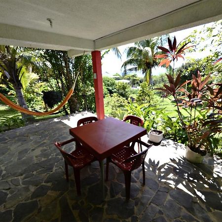Windy View Guest House Archibolds المظهر الخارجي الصورة