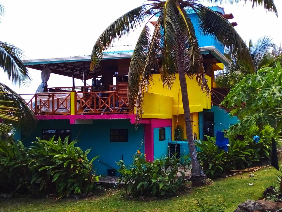 Windy View Guest House Archibolds المظهر الخارجي الصورة
