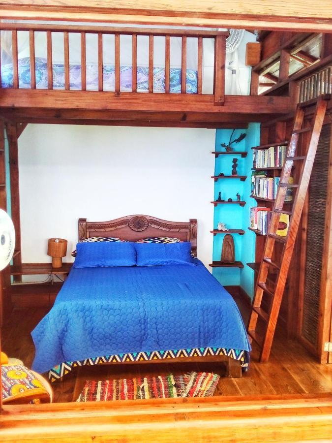 Windy View Guest House Archibolds المظهر الخارجي الصورة
