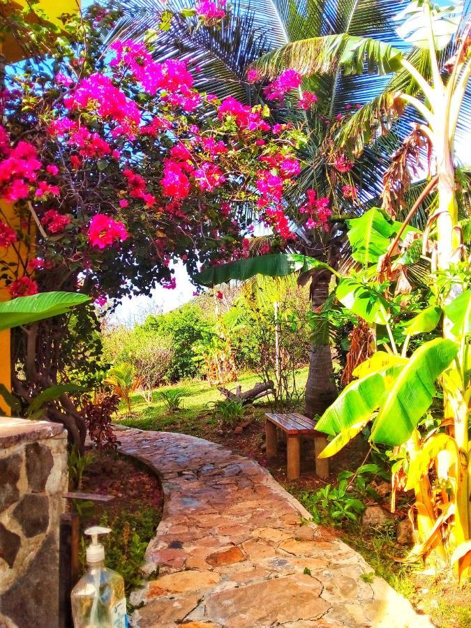 Windy View Guest House Archibolds المظهر الخارجي الصورة
