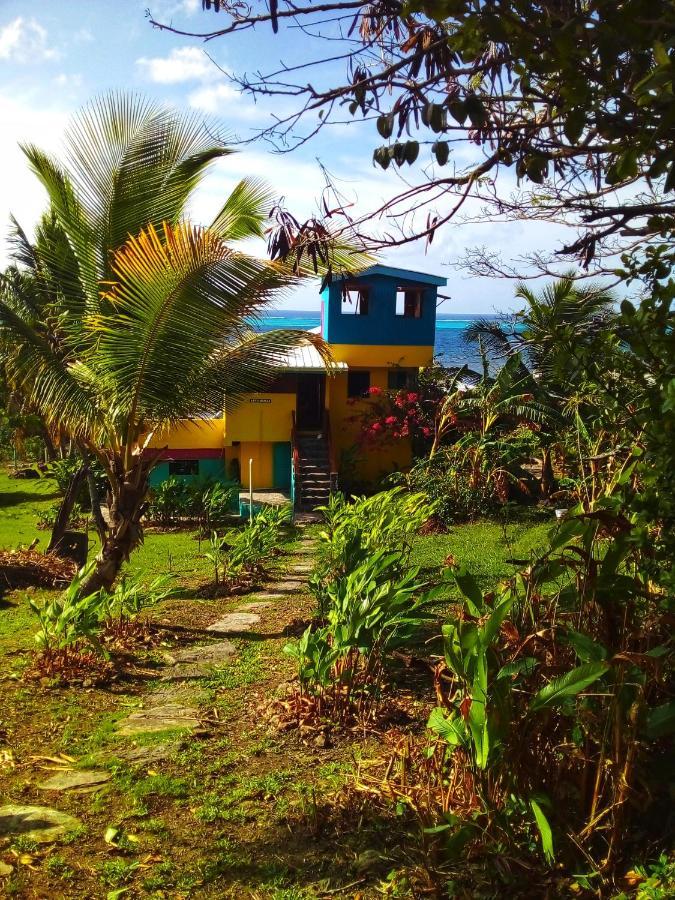 Windy View Guest House Archibolds المظهر الخارجي الصورة