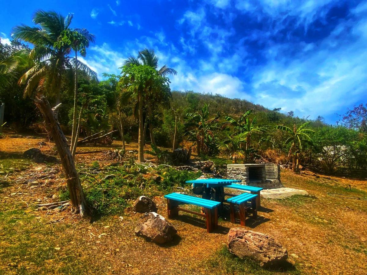 Windy View Guest House Archibolds المظهر الخارجي الصورة