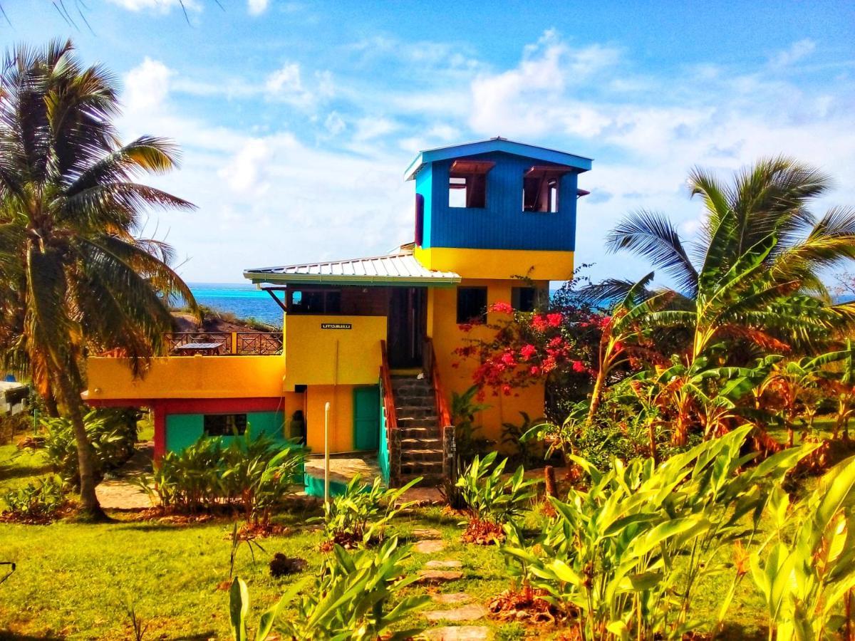 Windy View Guest House Archibolds المظهر الخارجي الصورة