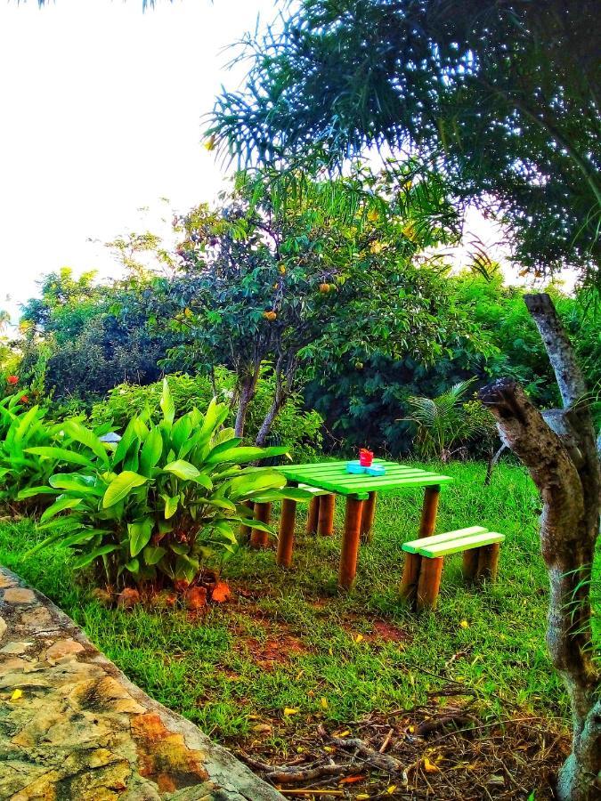 Windy View Guest House Archibolds المظهر الخارجي الصورة