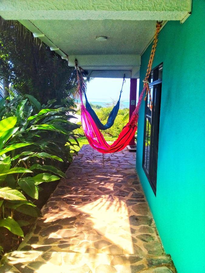 Windy View Guest House Archibolds المظهر الخارجي الصورة