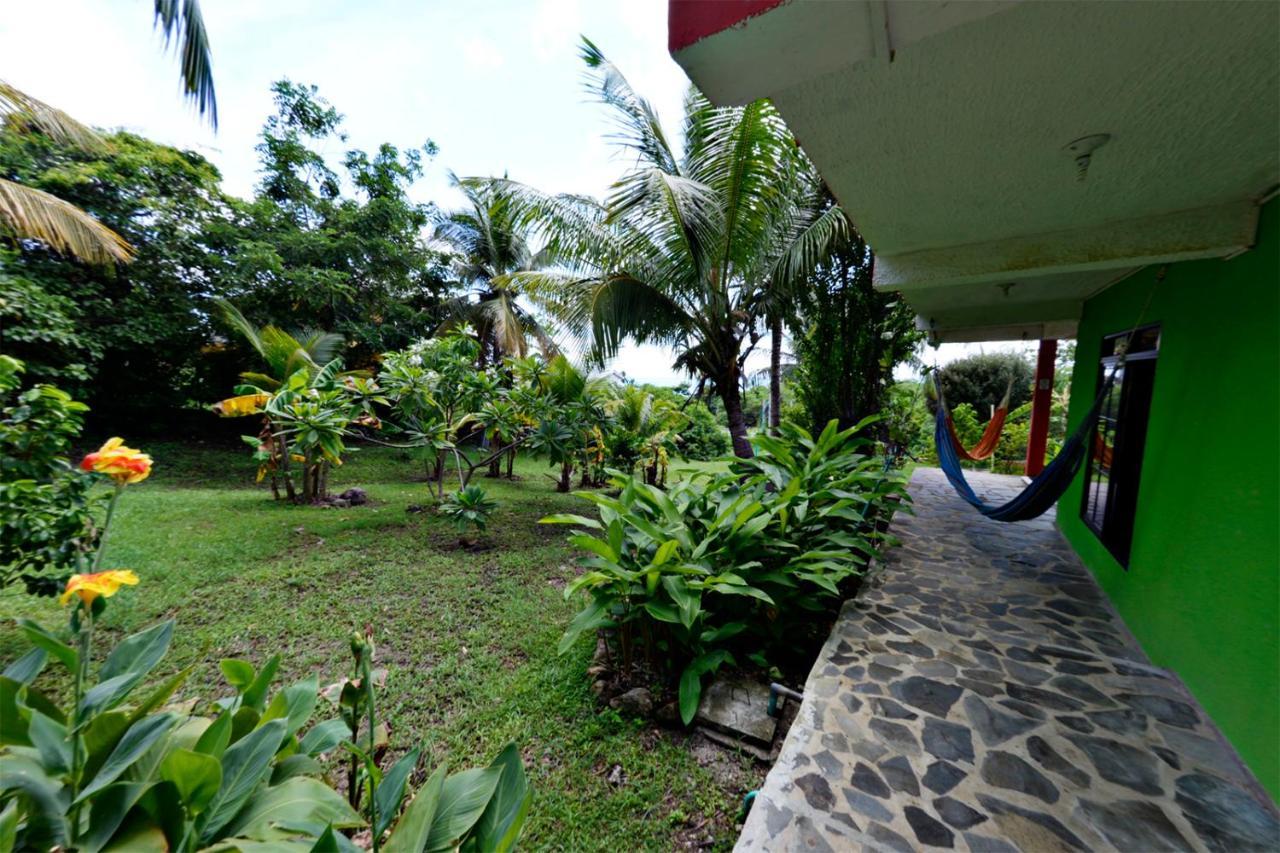 Windy View Guest House Archibolds المظهر الخارجي الصورة