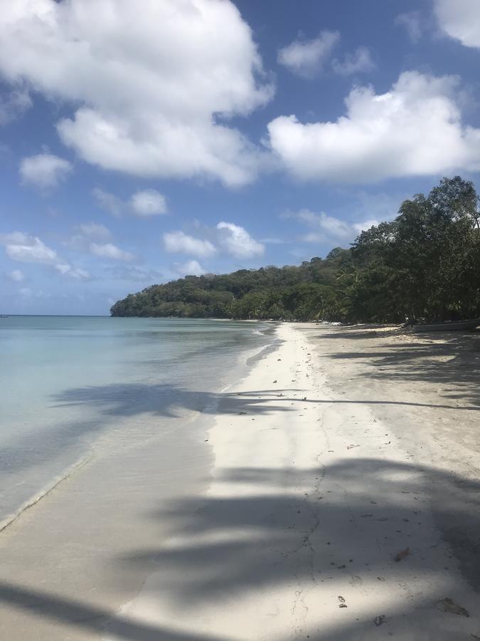 Windy View Guest House Archibolds المظهر الخارجي الصورة
