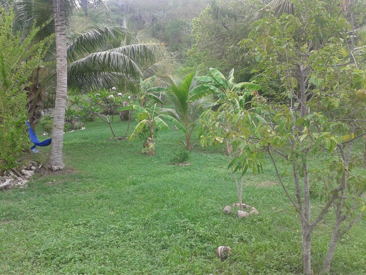 Windy View Guest House Archibolds المظهر الخارجي الصورة