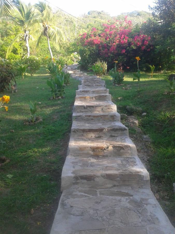 Windy View Guest House Archibolds المظهر الخارجي الصورة