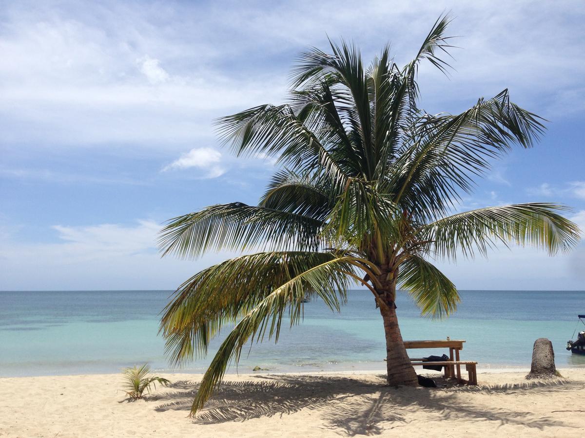 Windy View Guest House Archibolds المظهر الخارجي الصورة