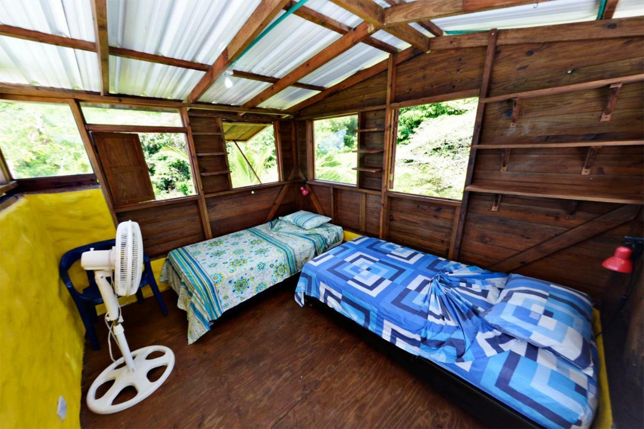 Windy View Guest House Archibolds المظهر الخارجي الصورة