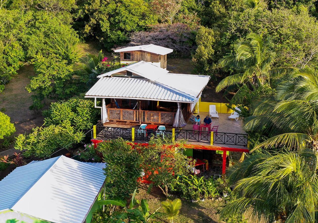 Windy View Guest House Archibolds المظهر الخارجي الصورة